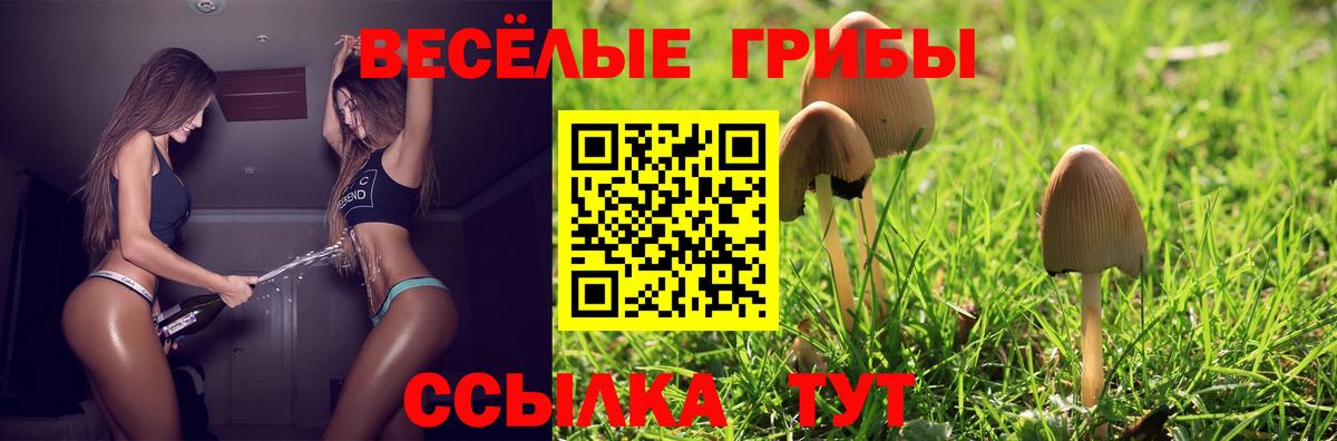 Псилоцибиновые грибы прущие грибы Югорск
